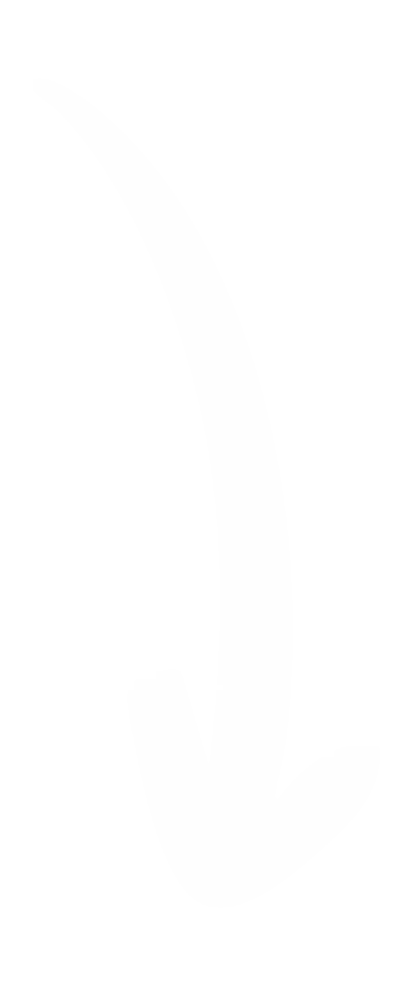 flèche