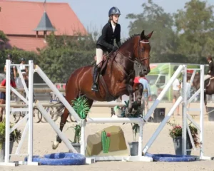 circuit à cheval en Loir-et-Cher